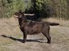 Profile picture of the animal